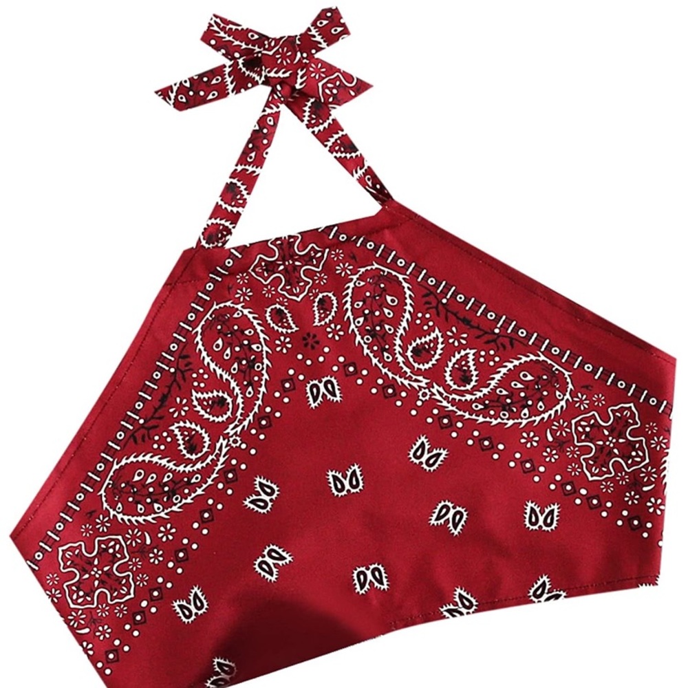 Bandana Halter Neck Crop Top
